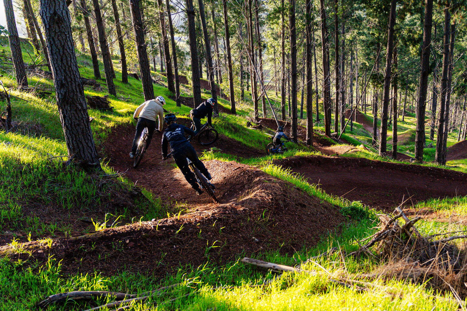 Fairways to Flow | Nannup, WA's new Native Forest MTB Park