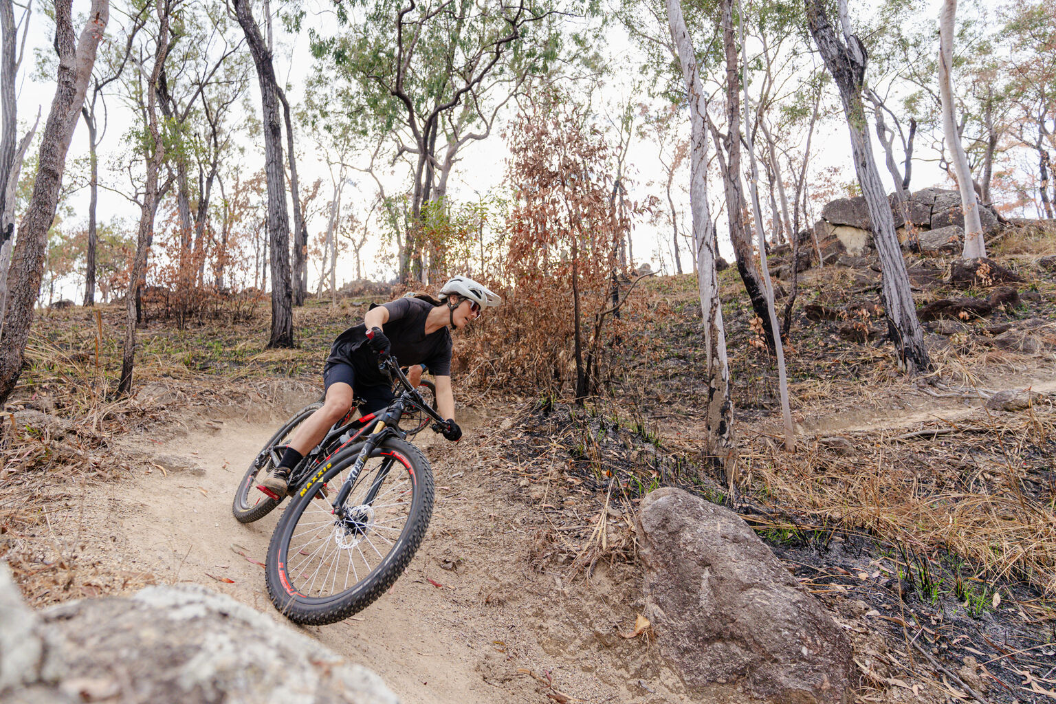 Mangoes, Mareeba Mountain Goats & MTB | Rambling through the XC trails at Davies Creek, QLD