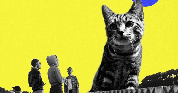 New single !! - cinco con el gato - with &Euml;da Diaz