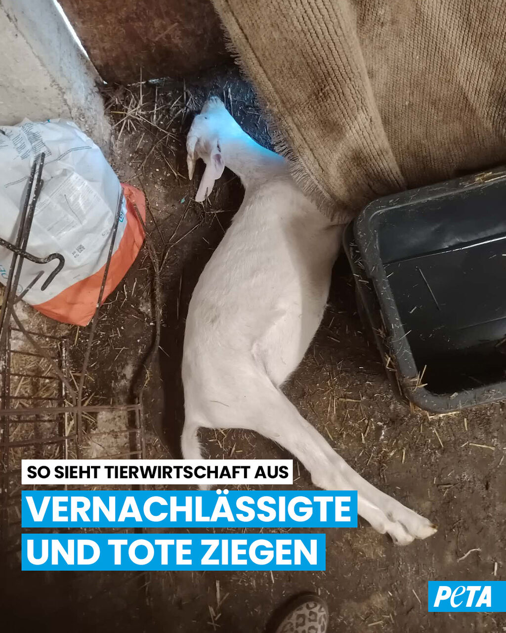 Tierfreie Landwirtschaft