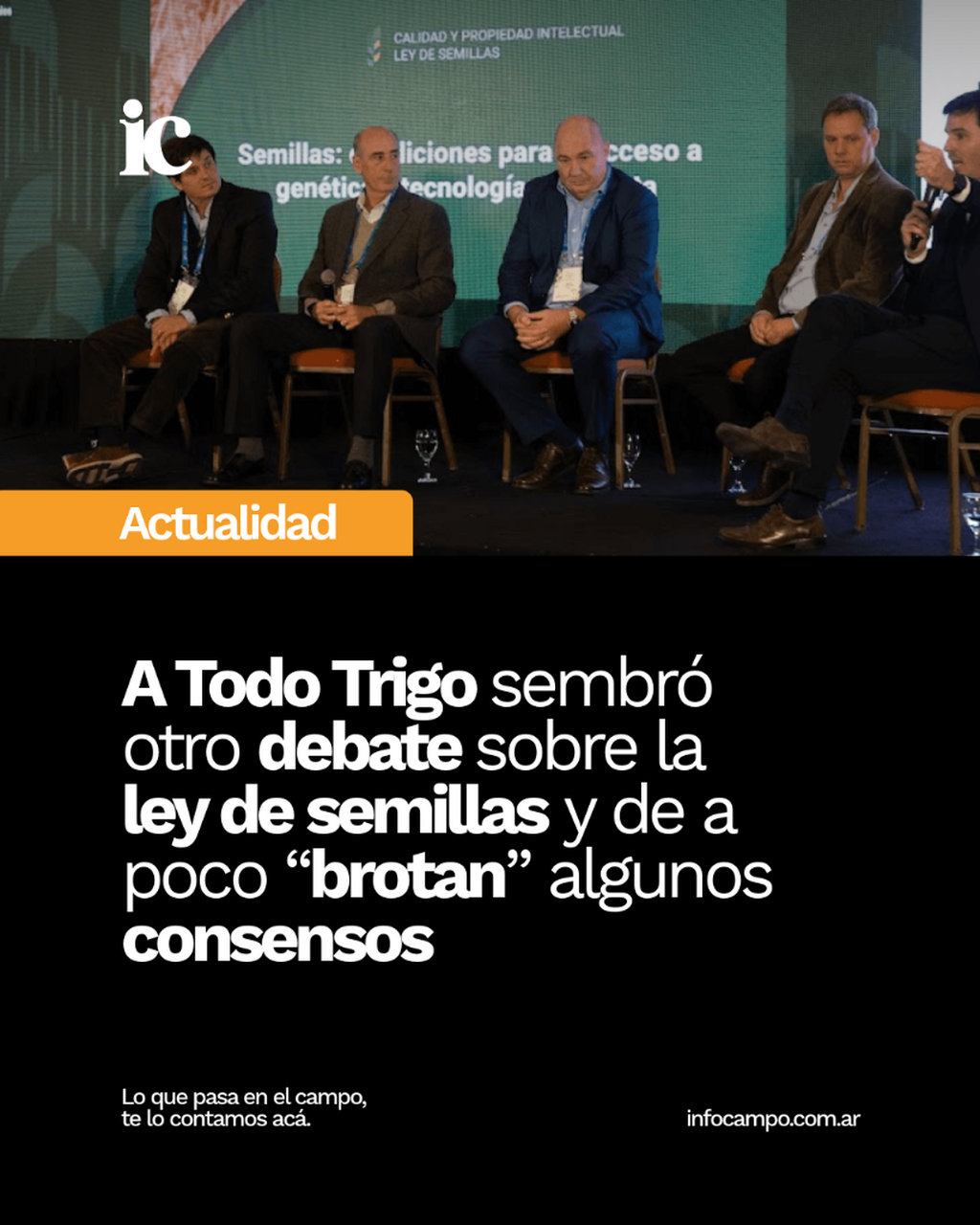 A Todo Trigo sembr&oacute; otro debate sobre la ley de semillas y de a poco &ldquo;brotan&rdquo; algunos consensos | Infocampo