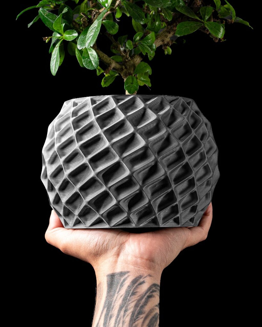 Planter Pot 002