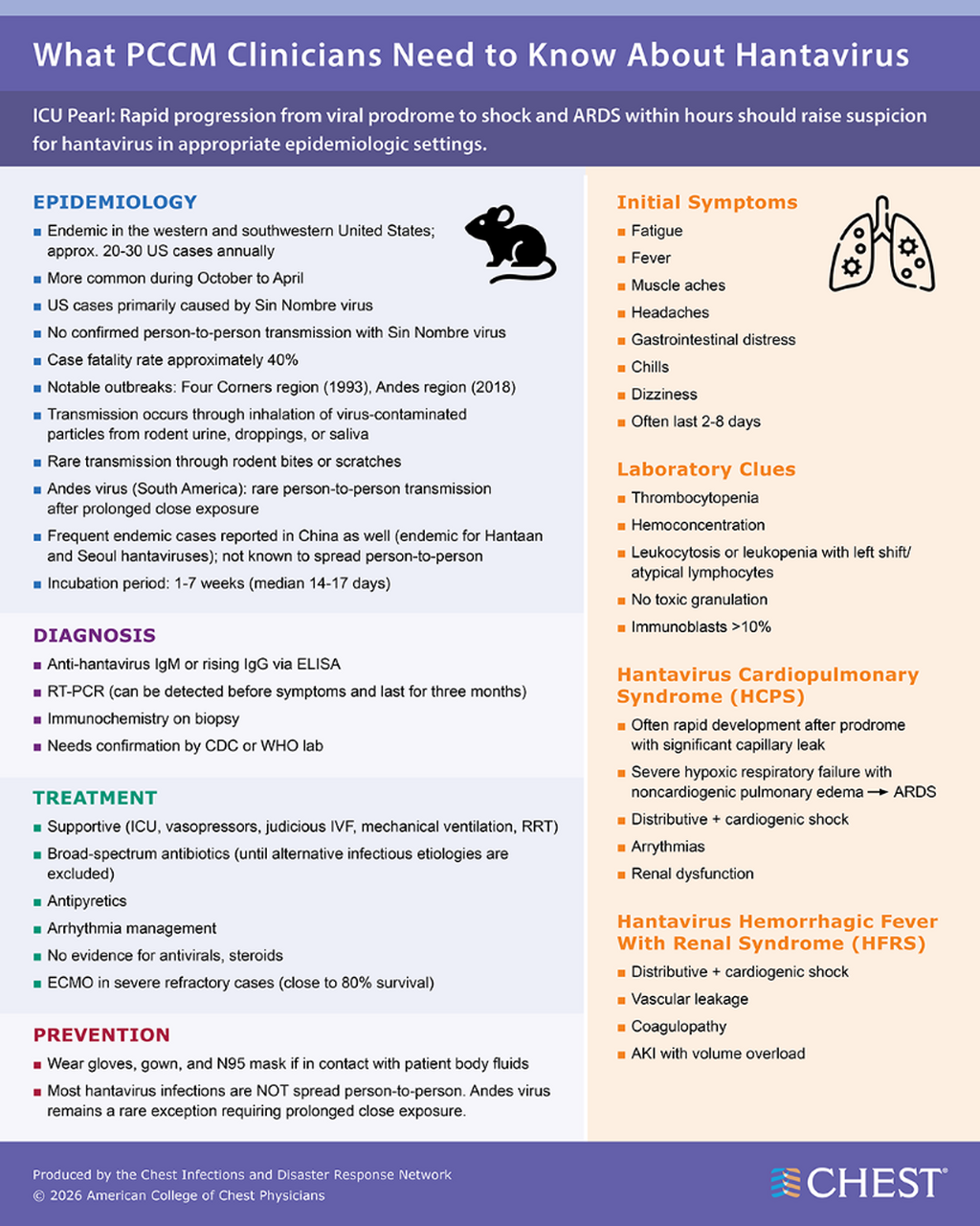 Hantavirus Infographic | Chest Infections and Disaster Response Network