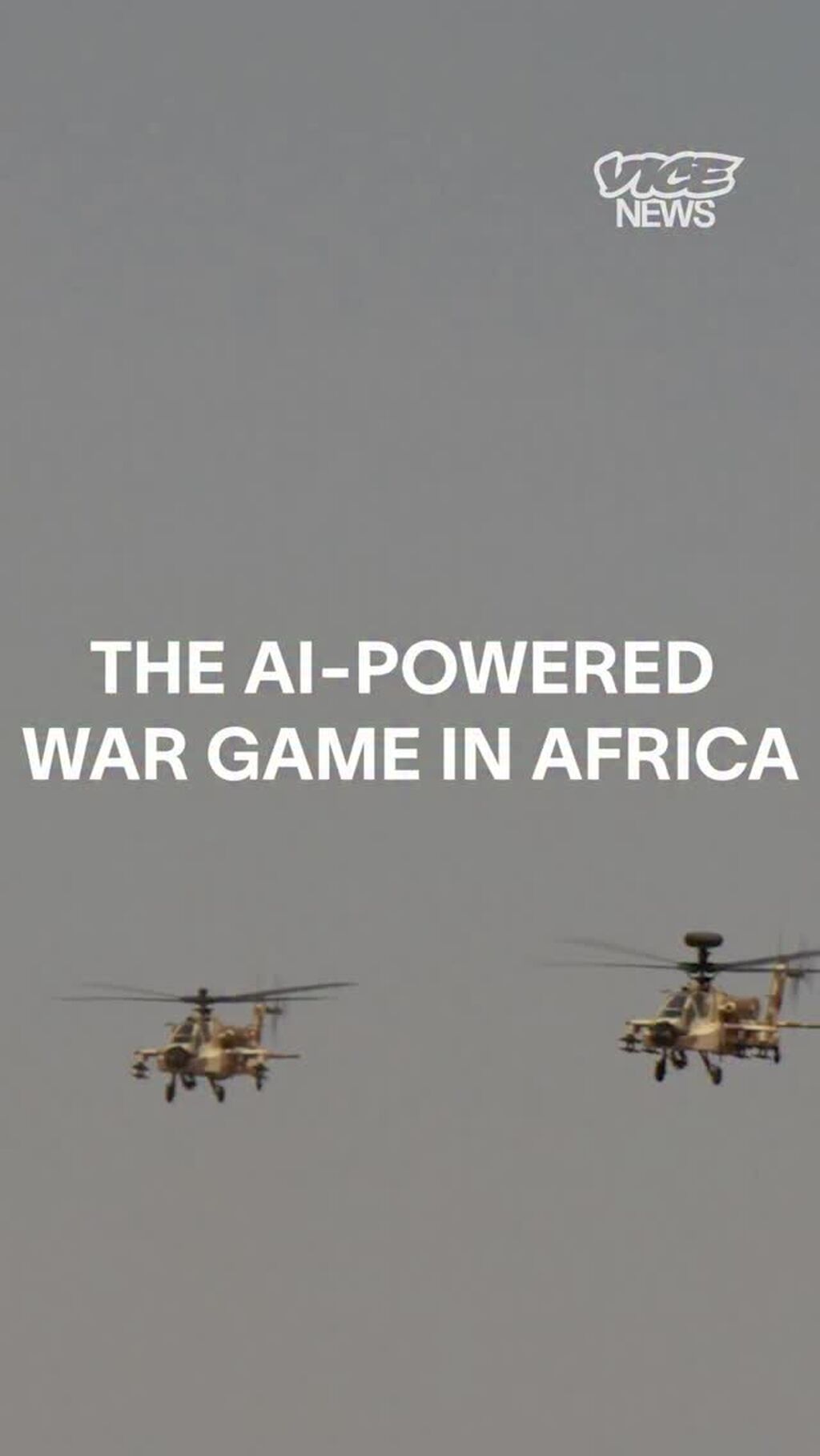 African Lion PDF Space