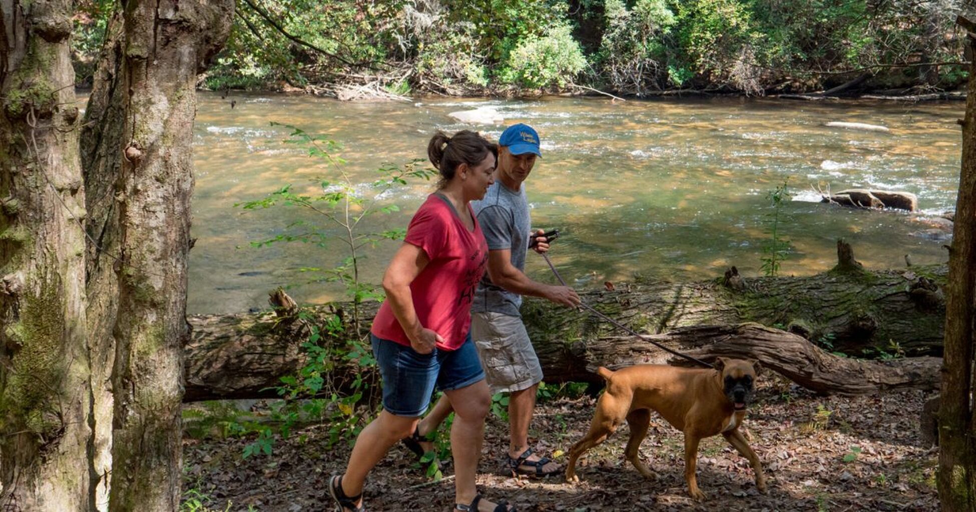 Benton MacKaye Trail