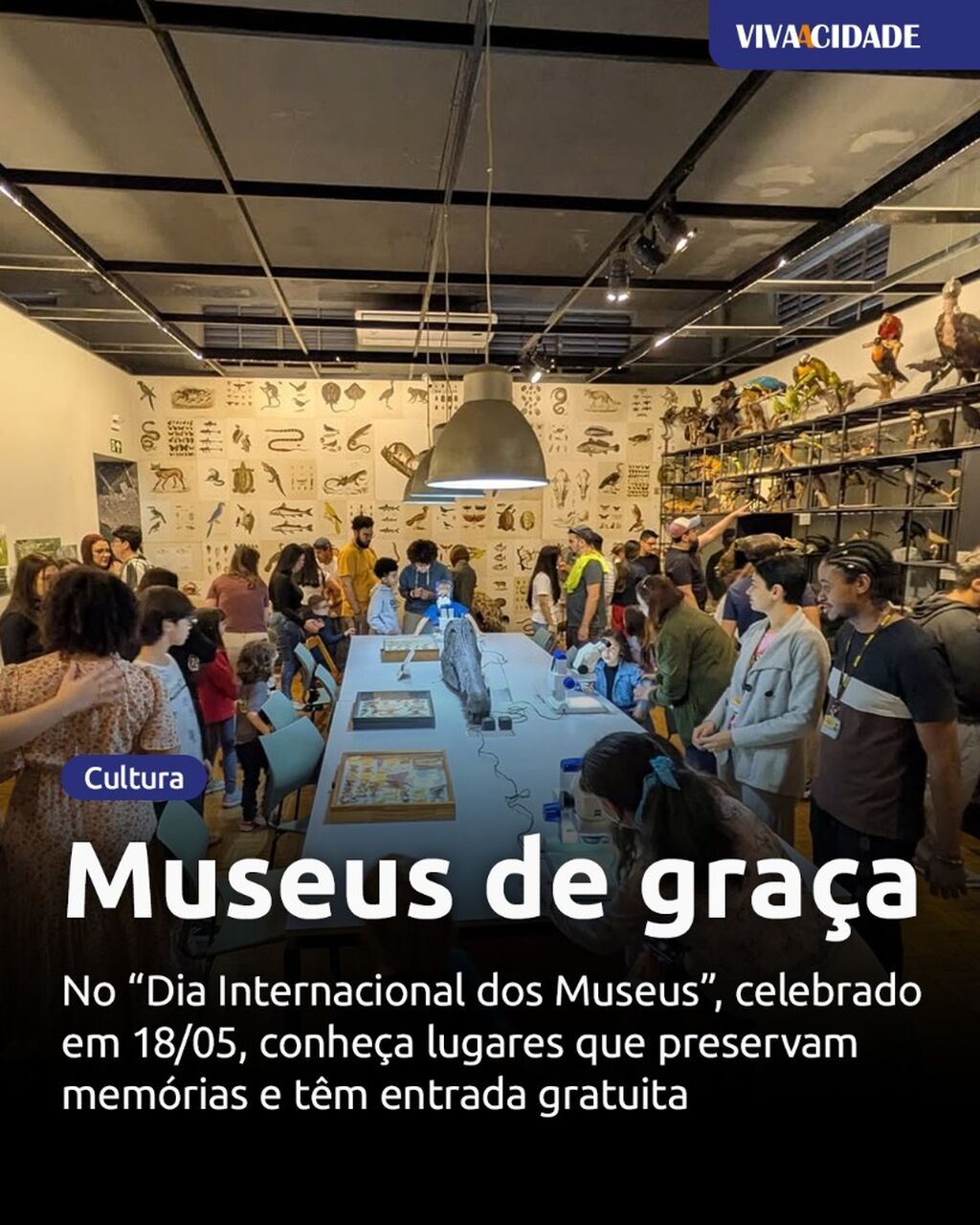Museus de gra&ccedil;a