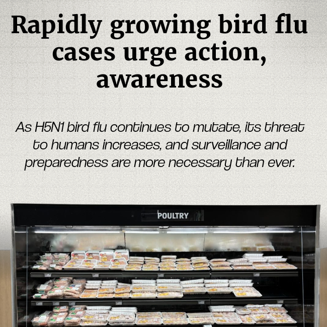 Rapidly growing bird flu cases urge action, awareness