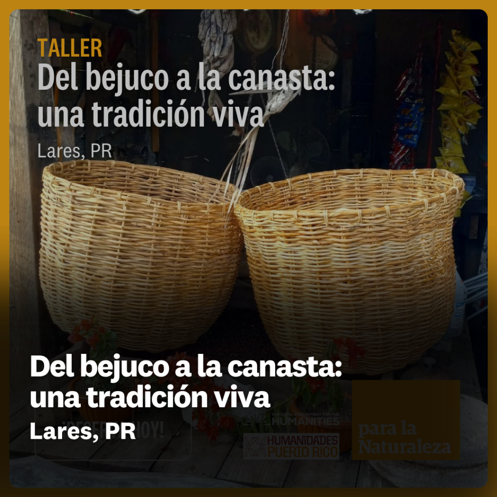 Del bejuco a la canasta: una tradici&oacute;n viva