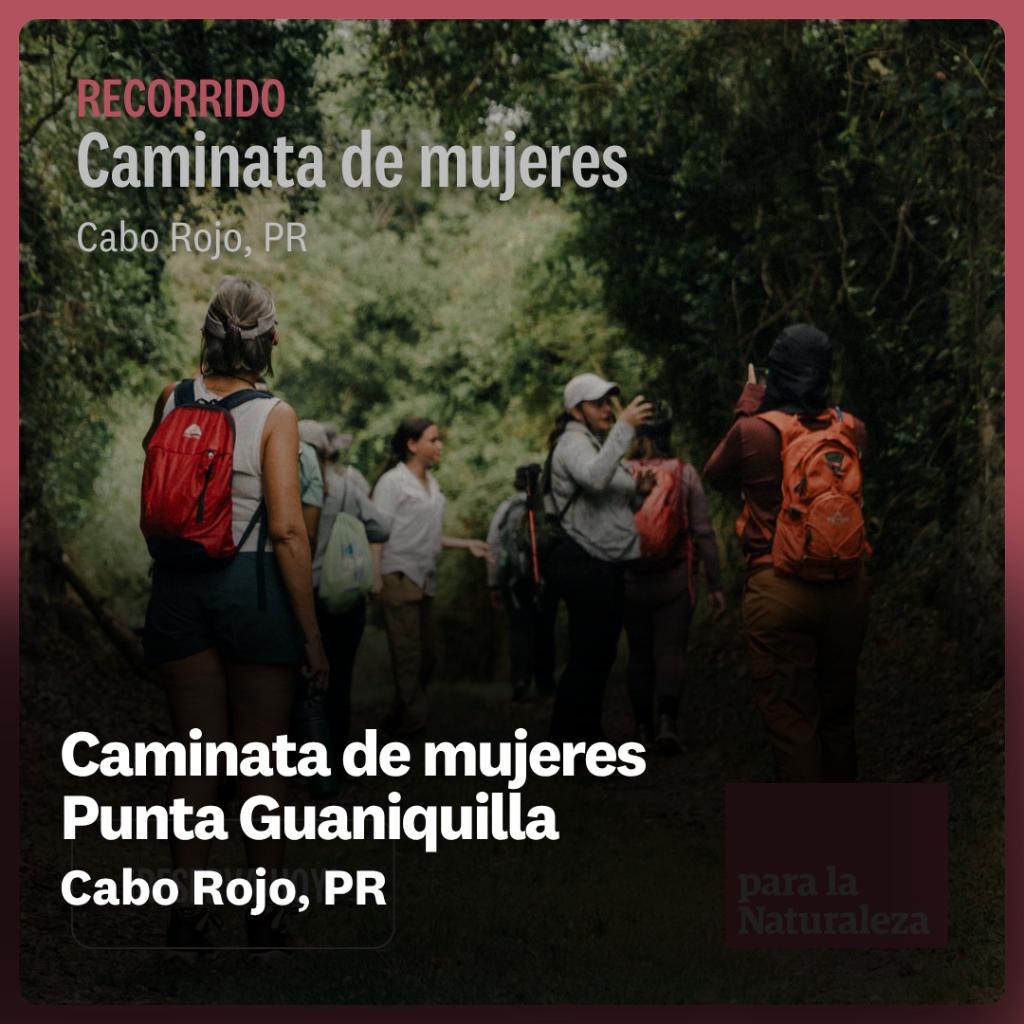 Caminata de mujeres - Punta Guaniquilla