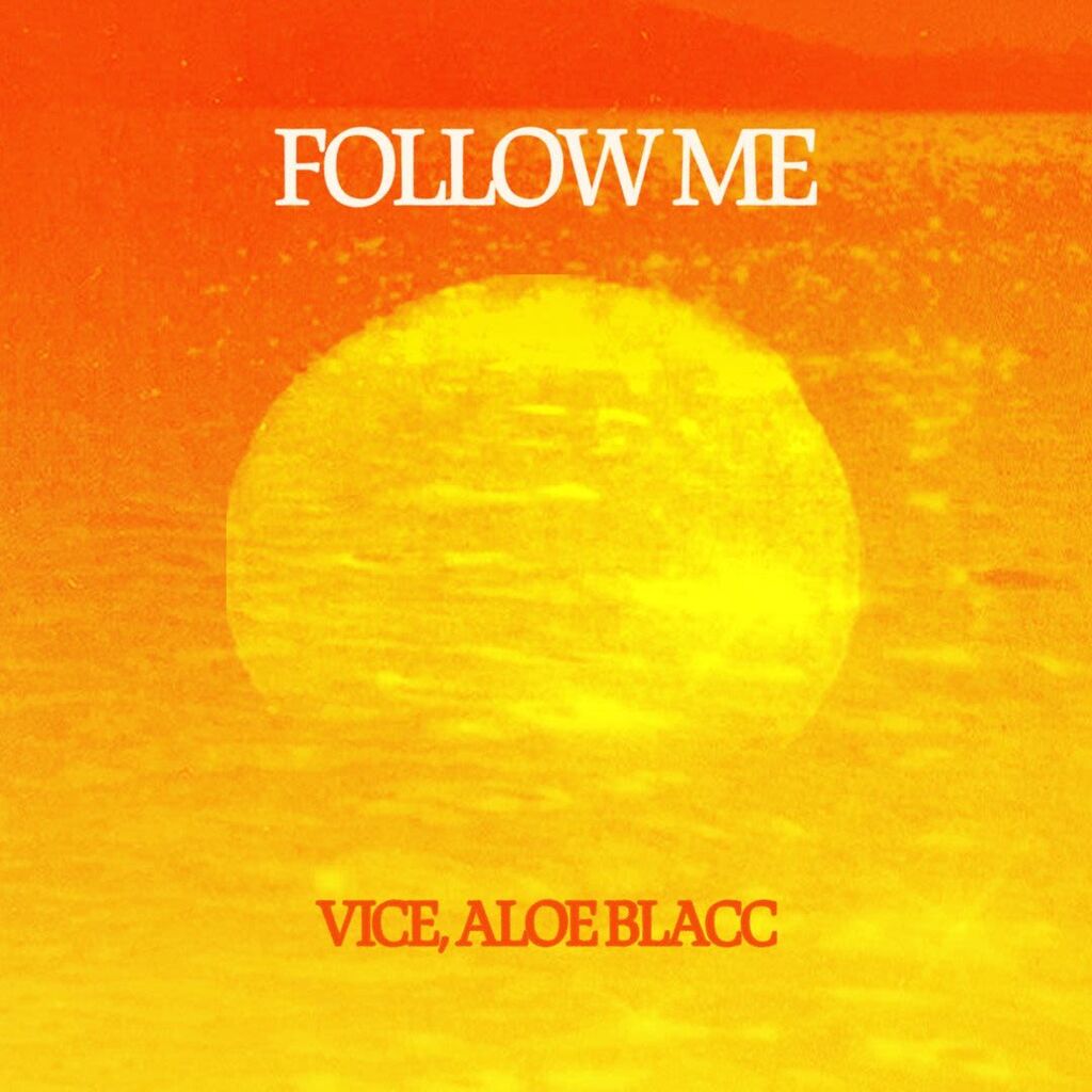 Listen to &lsquo;Follow Me&rsquo; with DJ Vice Out Now!