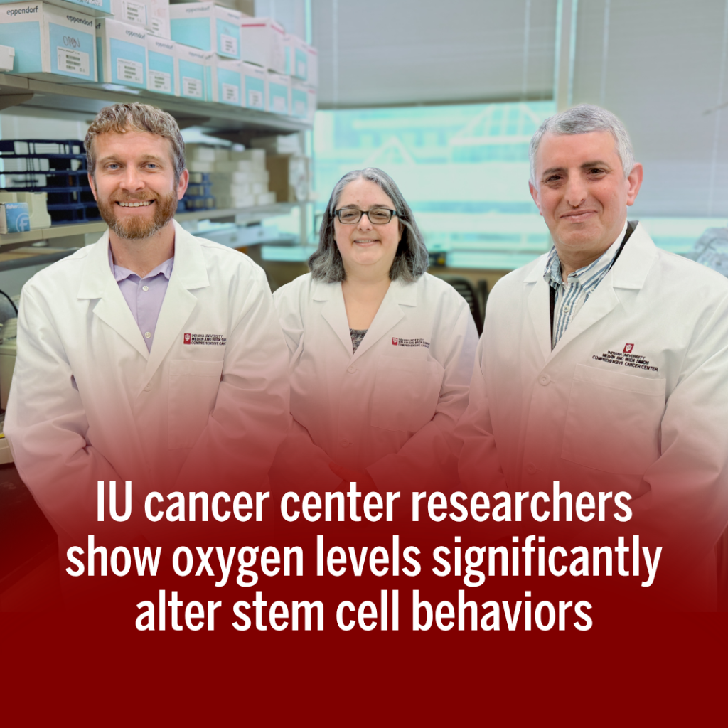 IU cancer center researchers show oxygen levels significantly alter stem cell behaviors