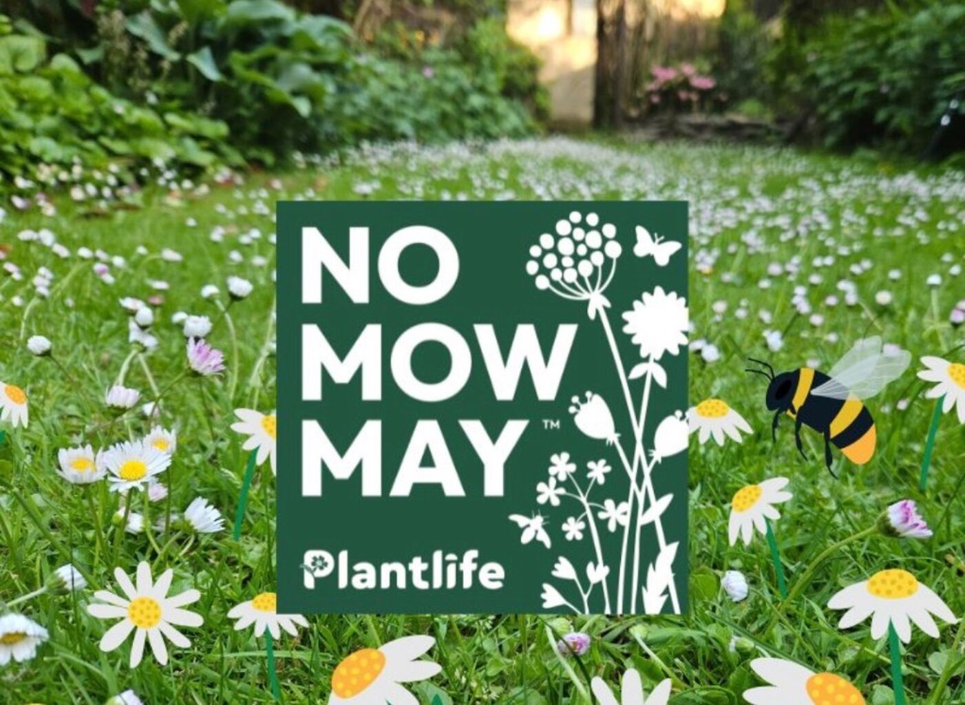 No Mow May Pledge