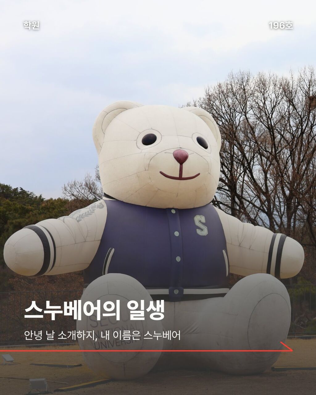 스누베어의 일생