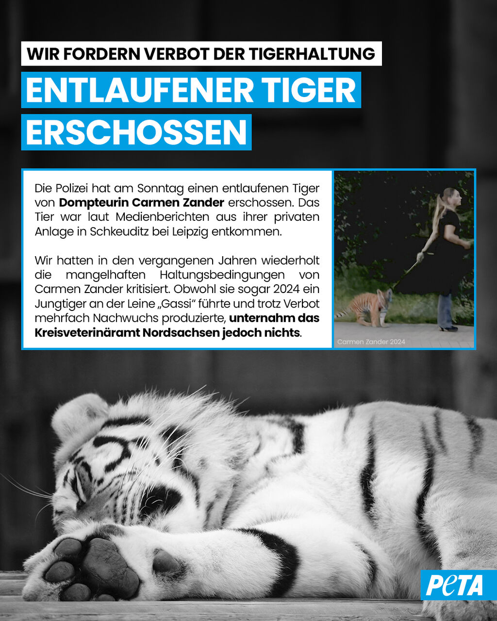 Petition Zirkus