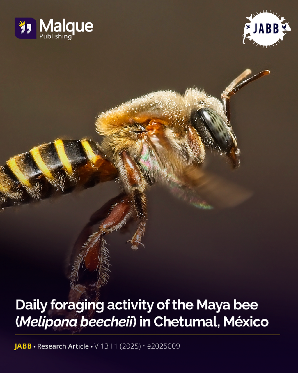 World Bee Day
