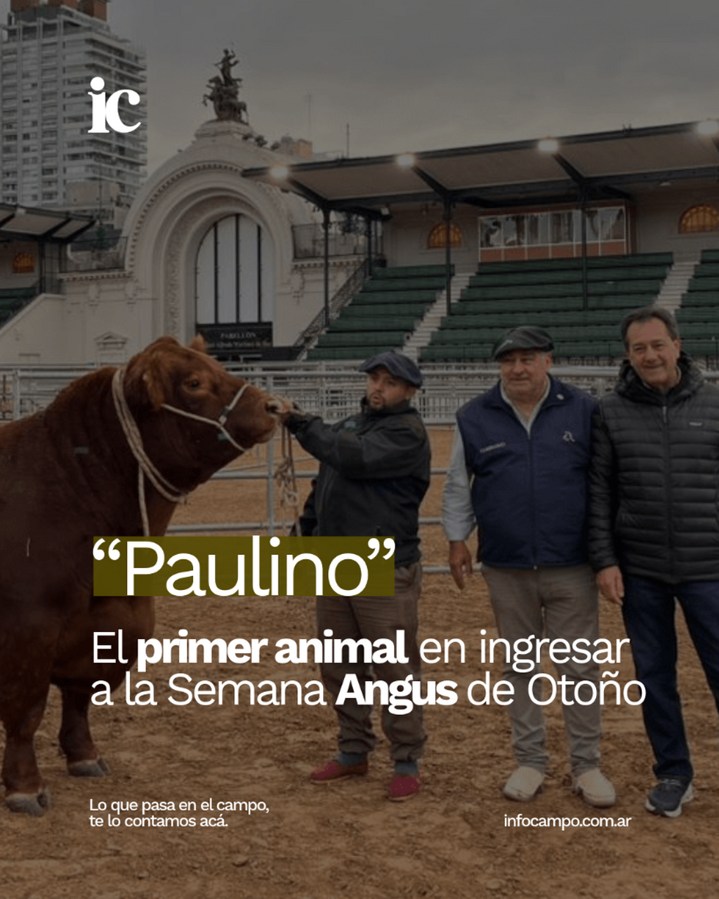 &ldquo;Paulino&rdquo; abri&oacute; la pista y los Angus ya viven su fiesta de oto&ntilde;o en Palermo, con r&eacute;cord de inscriptos | Infocampo