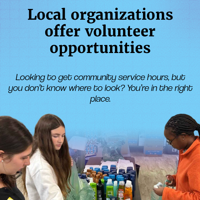 Local organizations offer volunteer opportunities
