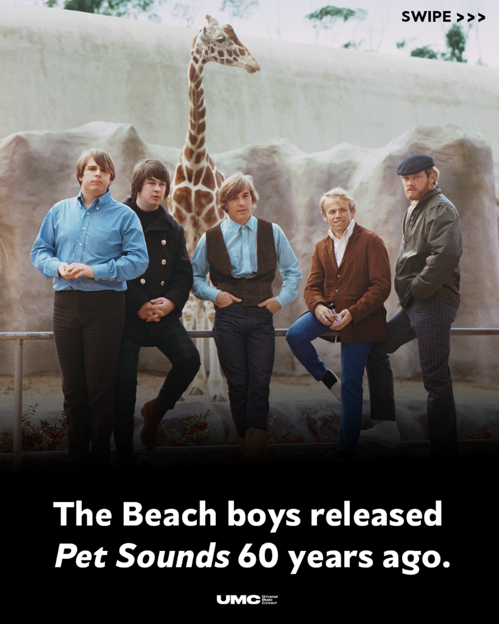 Beach Boys - Pet Sounds