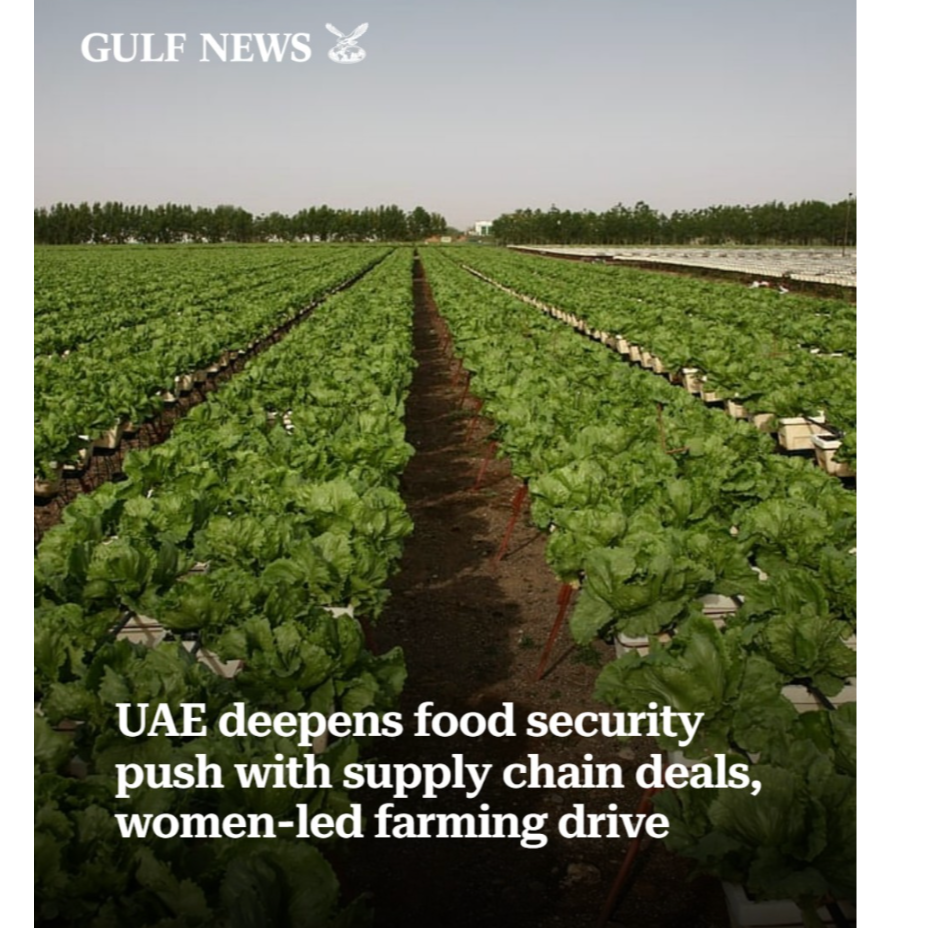 UAE deepens food security push with supply chain deals, women-led farming drive