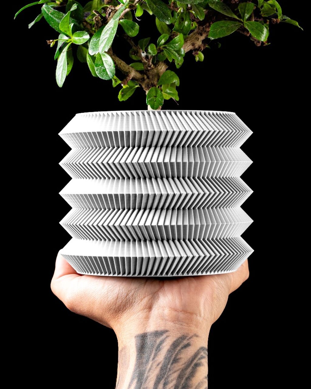 Planter Pot 003