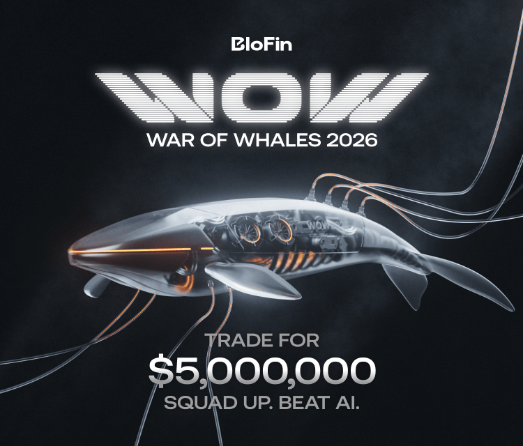 BLOFIN: EXCHANGE NO KYC