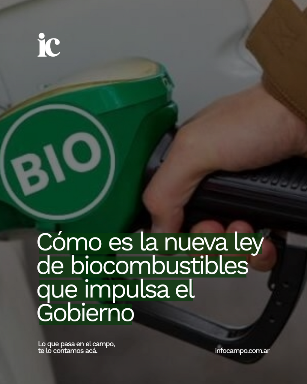 El Gobierno impulsa una nueva ley de biocombustibles: desregula el mercado y aumenta los &ldquo;cortes&rdquo; | Infocampo