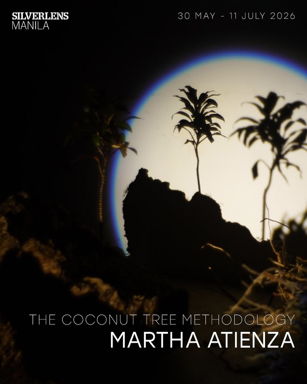 Coconut Tree Methodology
