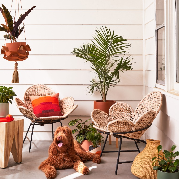 How to Move Your Plants Outside