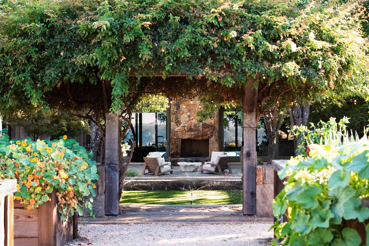 Journey to Wine Country