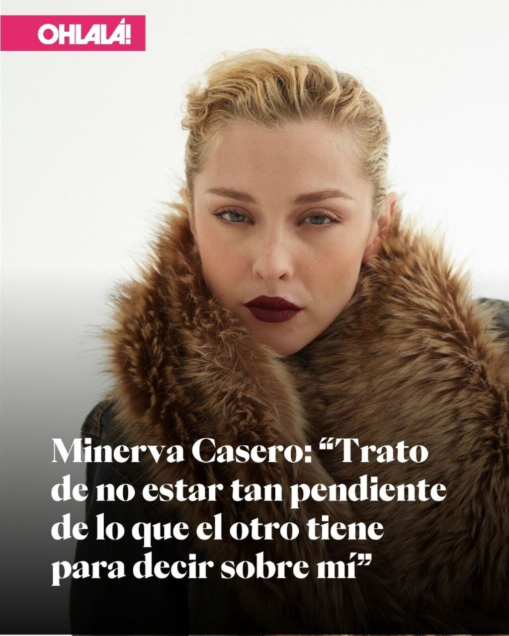 Minerva Caseros