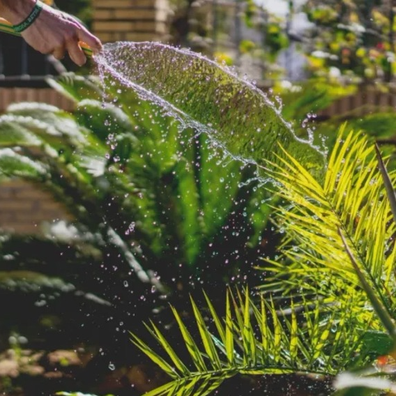 How to Water Your Garden