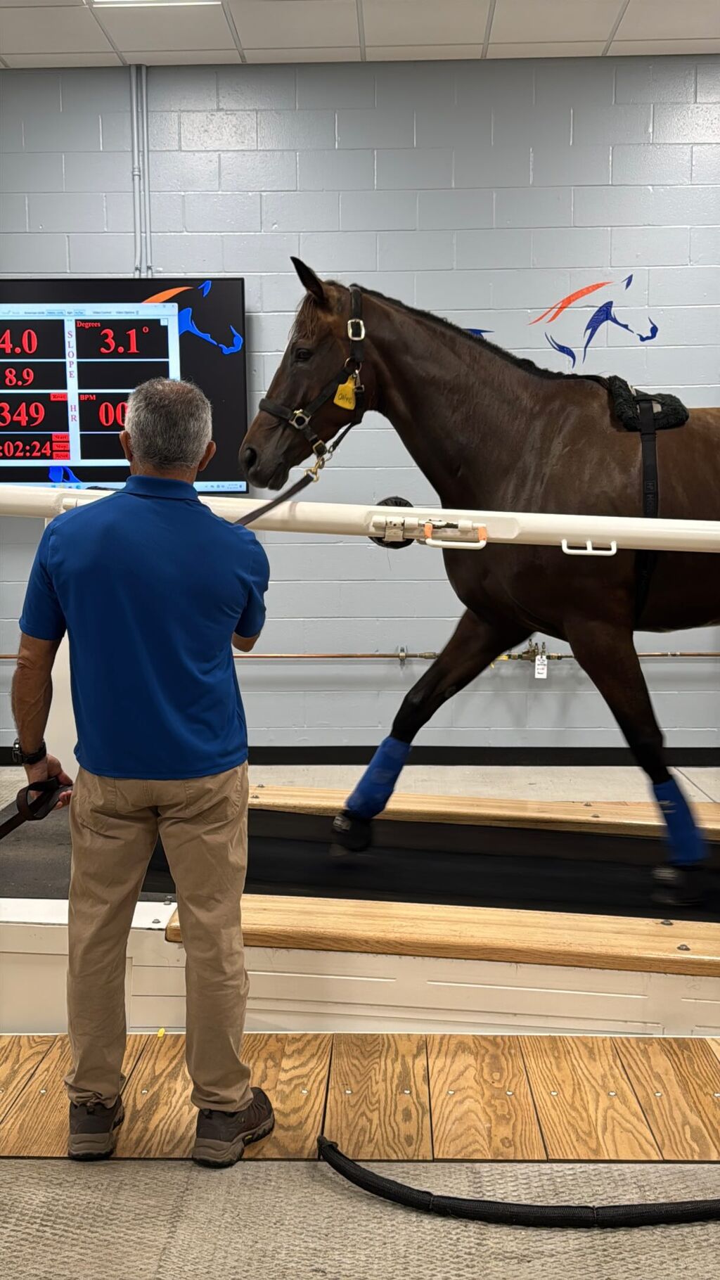 University of Florida&rsquo;s Equine Treadmill Helps Horses in Their Racing Careers and Beyond