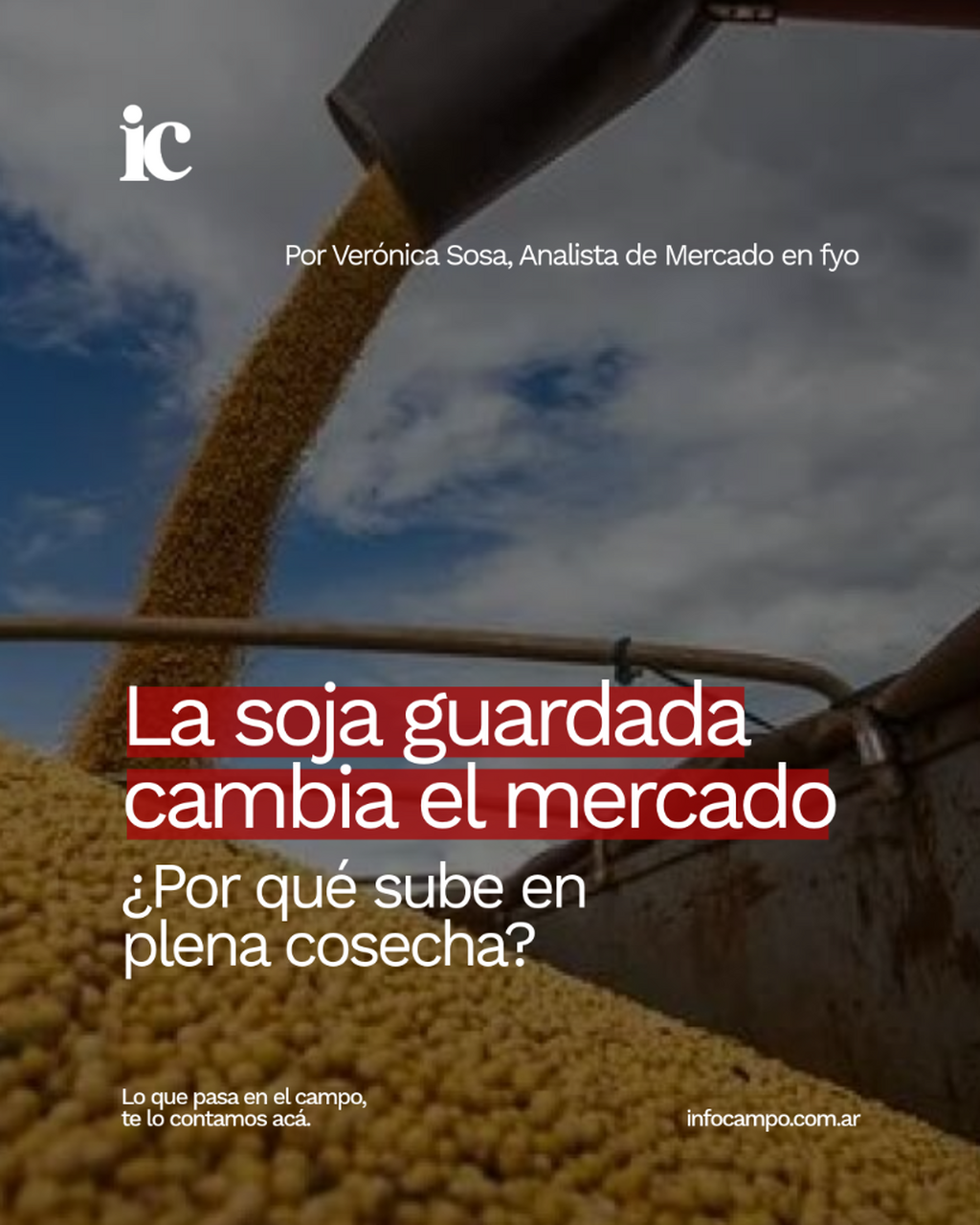Con la soja guardada, la industria sale a pagar m&aacute;s: la pulseada que cambia las reglas del mercado | Infocampo