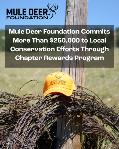 Mule Deer Foundation&nbsp;Commits More Than $270,000 to Local Conservation&nbsp;Efforts&nbsp;Through Chapter Rewards Program