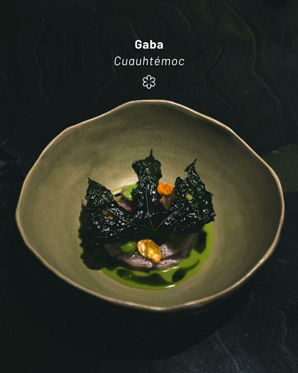 Every MICHELIN-Starred Restaurant in Mexico for 2026, Plus the Year&rsquo;s Key Trends