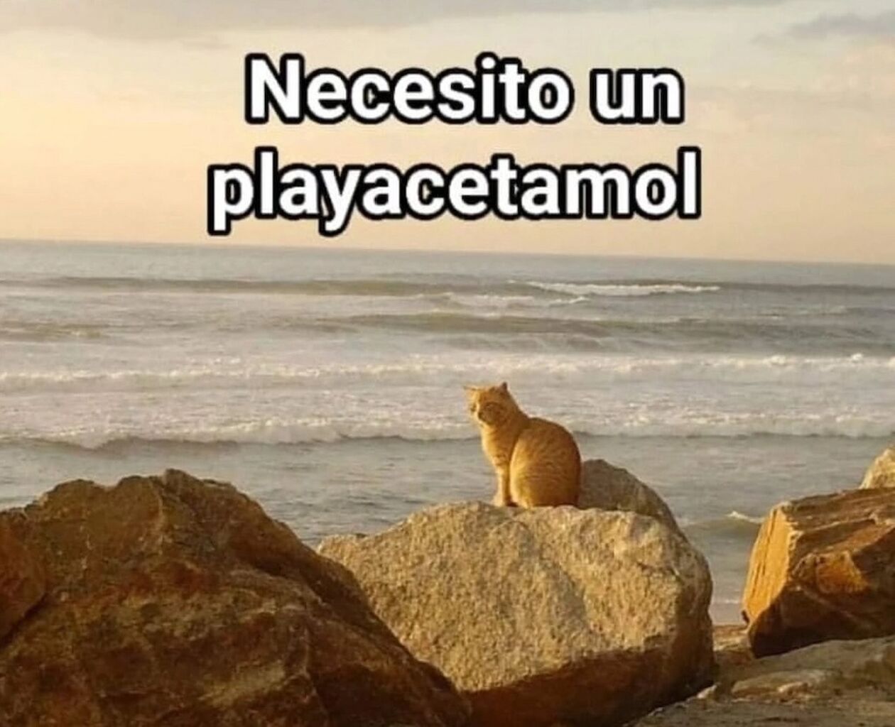 Las piezas ganadoras del concurso &laquo;Mi vida es un meme&raquo;