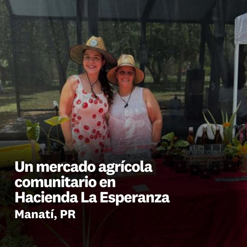 Un mercado agr&iacute;cola comunitario en Hacienda La Esperanza