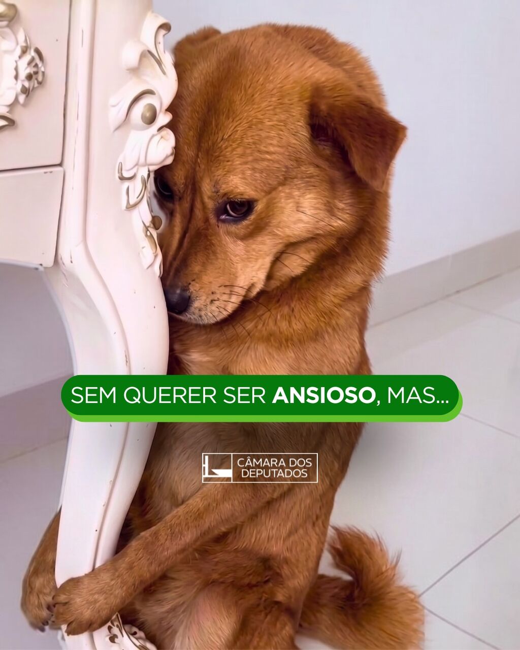 Alunos especiais