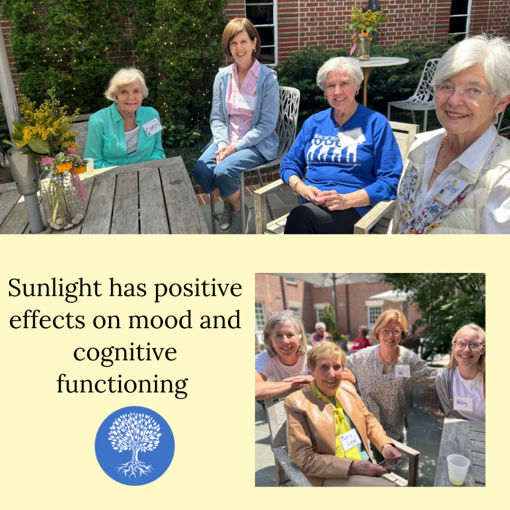             Effect of sunlight exposure on cognitive function among depressed and non-depressed participants: a REGARDS cross-sectional study - PMC        