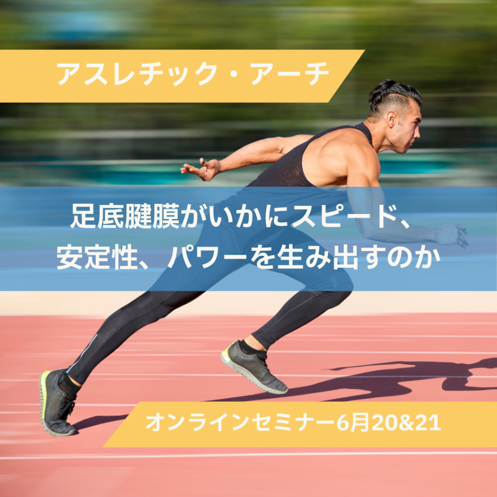 アスレチック・アーチ：足底腱膜がいかにスピード、安定性、パワーを生み出すのか
