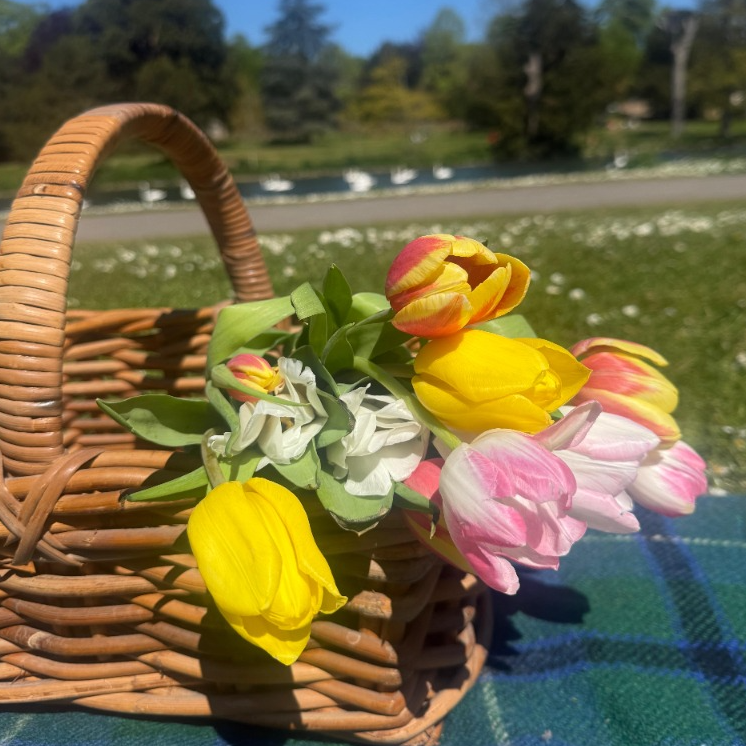 Top 10 Picnic Spots