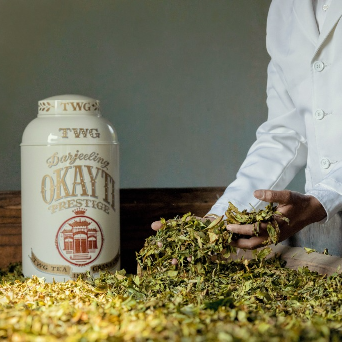 TEA ORIGIN FILM - DARJEELING, LAND OF THUNDER
