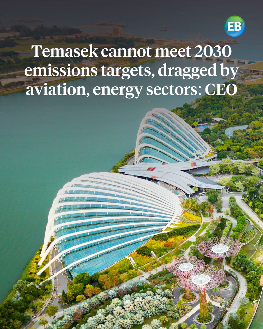 Temasek cannot meet 2030 emissions targets, dragged by aviation, energy sectors: CEO