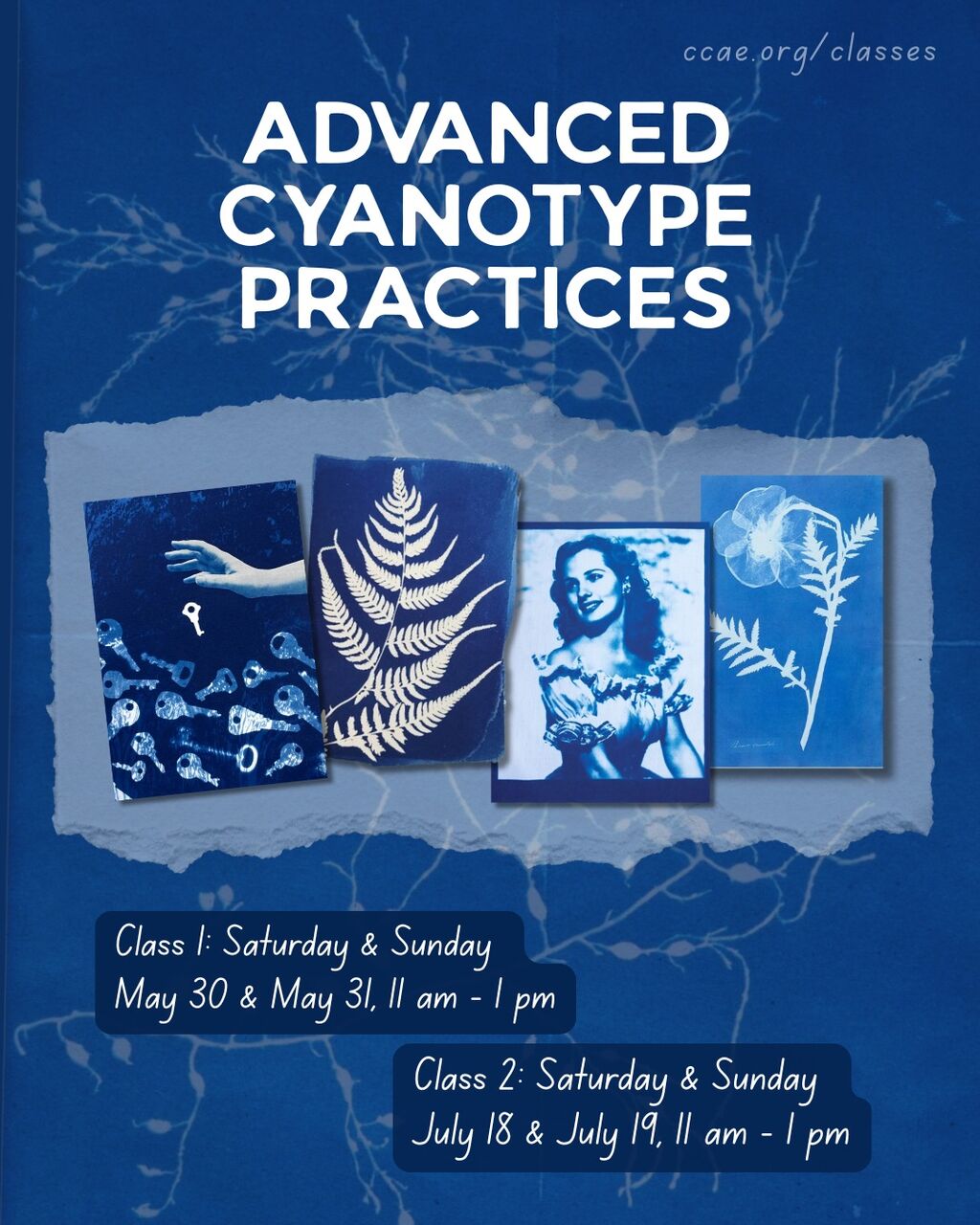 Advanced Cyanotype Practices *In-Person* *NEW*