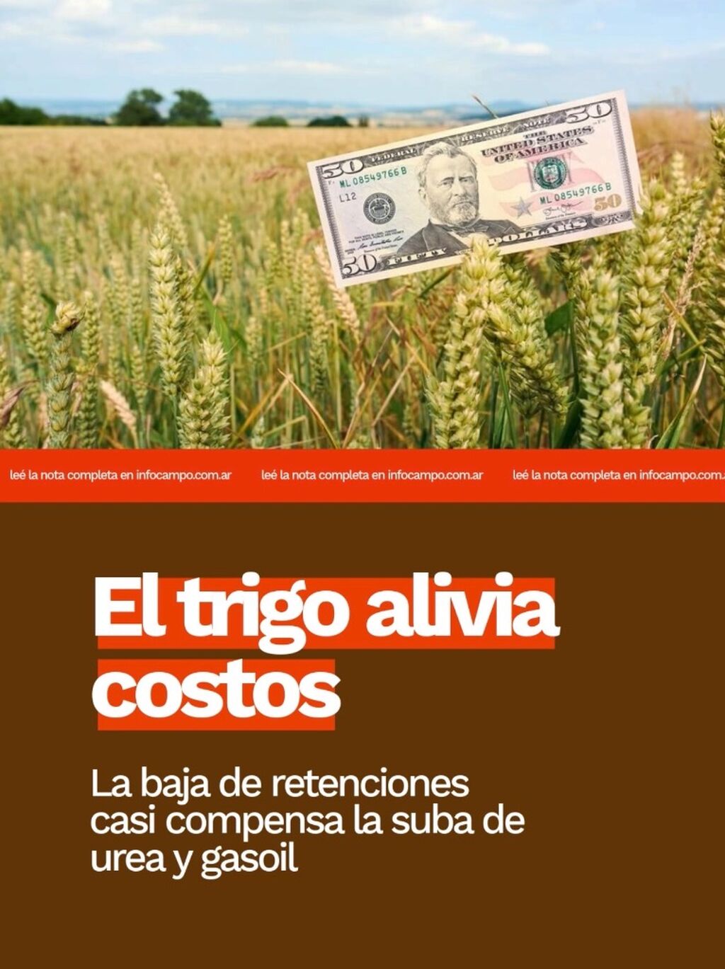Impulso para el trigo: la baja de retenciones ayuda a amortiguar casi 100% de la suba de la urea y el gasoil | Infocampo
