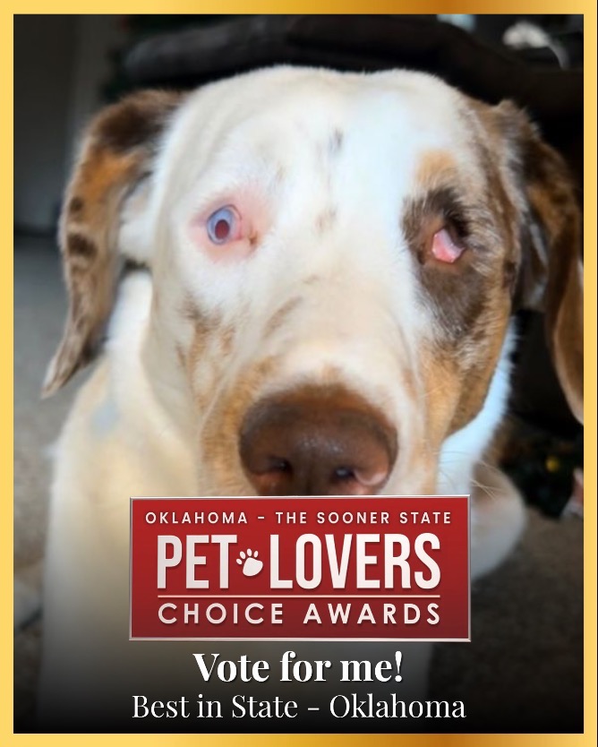 Vote For Ghost!!!