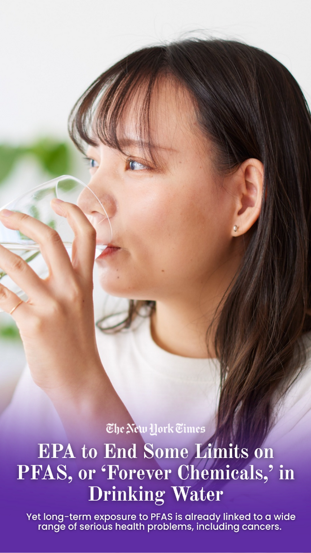 Water Filter Guide