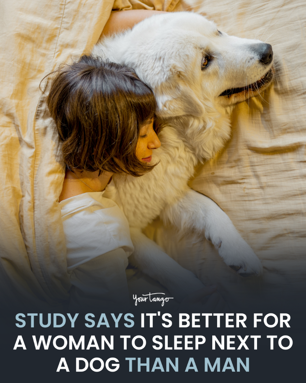 It&rsquo;s Better For A Woman To Sleep Next To A Dog Than A Man, Says Study