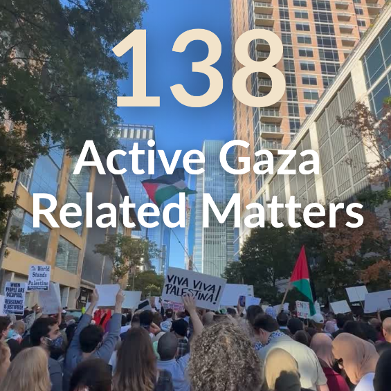 Impact Report Gaza