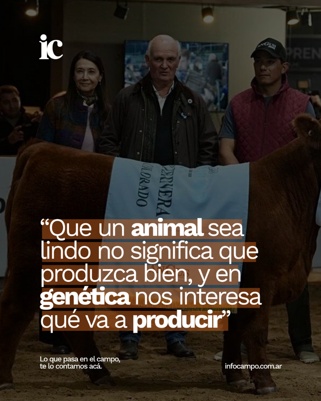 &ldquo;Que un animal sea lindo no significa que produzca bien, y en gen&eacute;tica nos interesa qu&eacute; va a producir&rdquo; | Infocampo